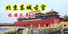 欧美大几吧操大逼中国北京-东城古宫旅游风景区